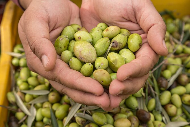 Olive Oil Tour Visit to the oil mill and olive oil tasting - What to Buy and How to Take Sicily Home