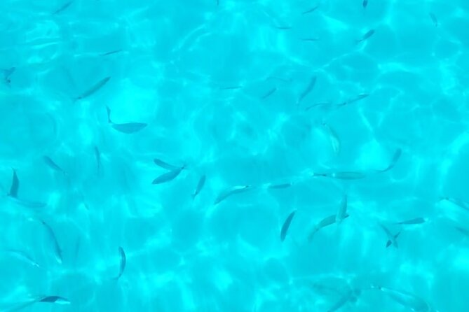 One and a half hour boat excursion to Scala Dei Turchi - Onboard basics: water, tickets, and the language factor