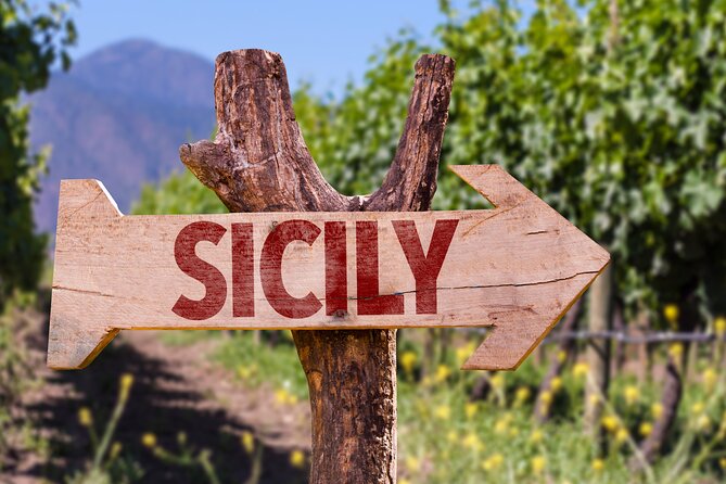 One Way Private Transfer Between Catania Airport and Taormina - Who This Transfer Best Suits in Sicily