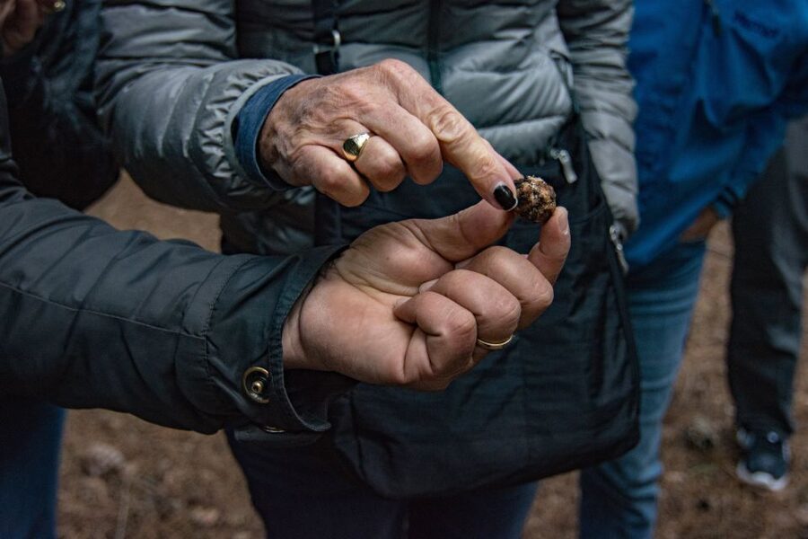 Palazzolo Acreide: Truffle Hunt with 5-Course Meal and Wine - Key things that make this truffle day work