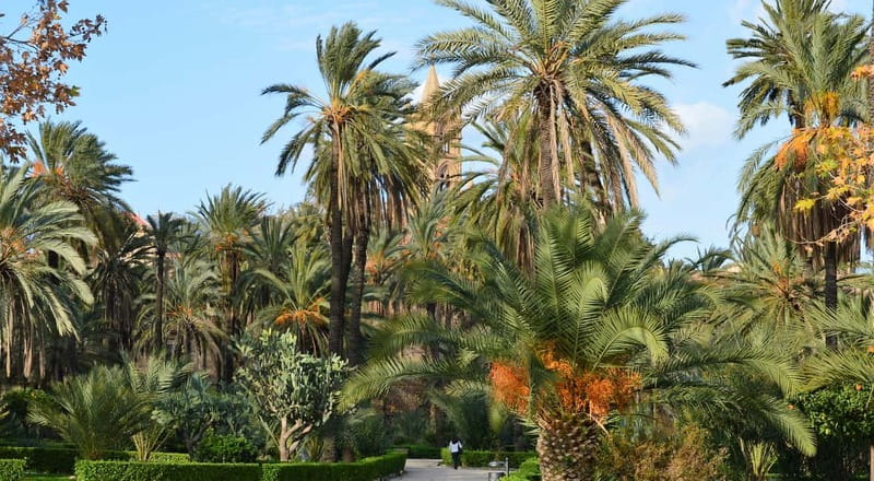 Palermo: Art and Architecture Walking Tour - Key Things I’d Prioritize Before You Go