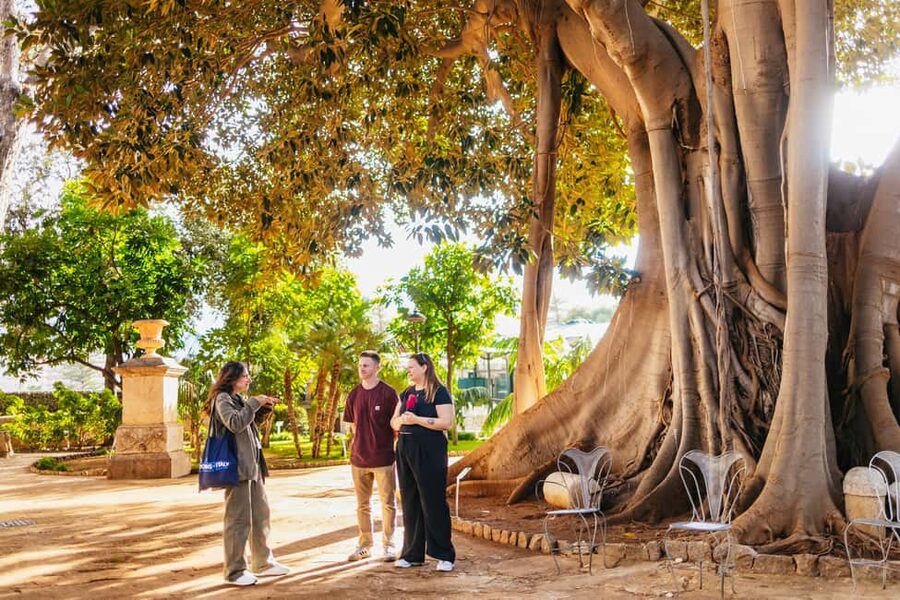Palermo: Norman Palace and Palatine Chapel Tour with Tickets - Key things to know before you go