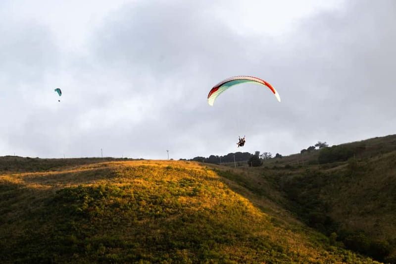 Palermo: paragliding flight with instructor foto and video - Pickup and Timing in the Palermo Area, What You Should Plan For
