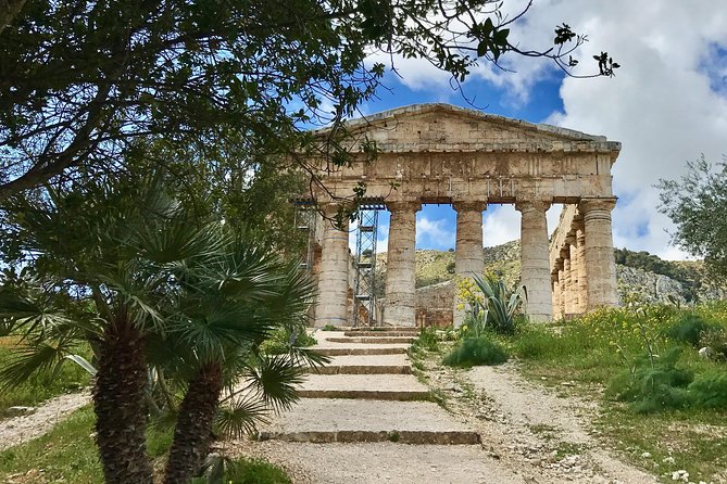 Palermo Private MINITOUR of WEST SICILY 4 Days with Guide Driver - Castelvetrano Olive Oil Producer: Nocellara del Belice at the Source
