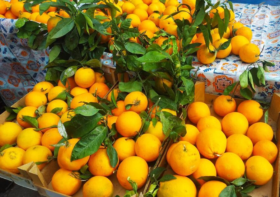 Palermo: Street Food Walking Tour with Local Guide & Tasting - Getting Started at Chiosco Vicari and the Quick Landmark Warm-Up