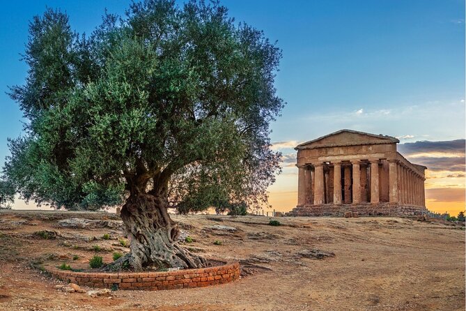 Palermo to Siracusa: stop at Valley of Temples & Roman Villa - Why This Palermo to Siracusa Route Feels More Like a Plan Than a Transfer