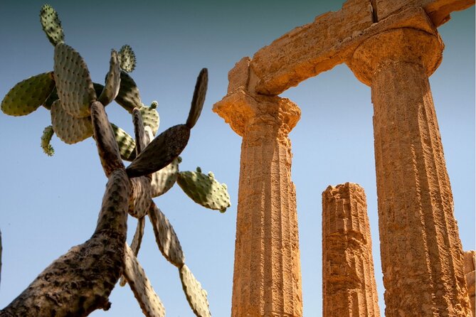 Palermo to Siracusa: stop at Valley of Temples & Roman Villa - Price and Value Check: Is $385.28 Worth It?