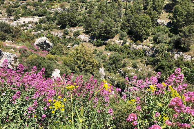 Pantalica Nature Reserve Walking Tour - Walking Time and the Flow of the Tour