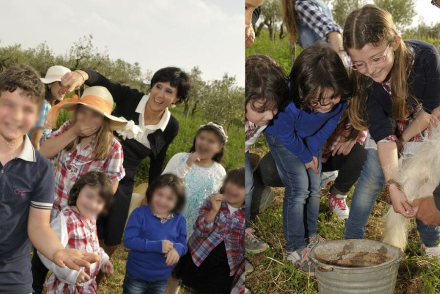 Partinico: Farm's Animals and Aromatic Garden Experience - Price and what you actually get for $41