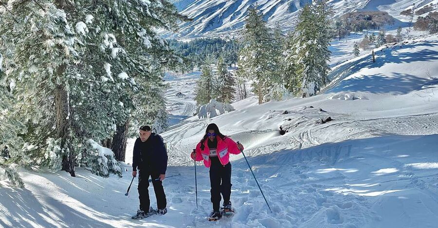 Piano Provenzana: Guided Mt. Etna Snowshoeing Trek - Key Things You Should Know Before You Go