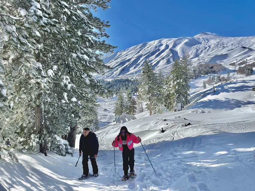 Piano Provenzana: Guided Mt. Etna Snowshoeing Trek - Why Snowshoeing on Etna Feels Different from a Normal Winter Hike