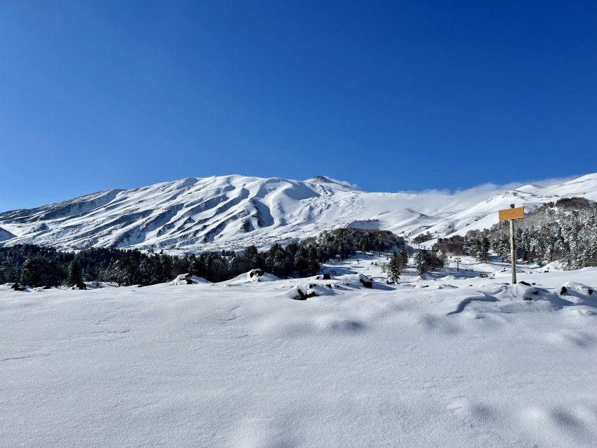 Piano Provenzana: Guided Mt. Etna Snowshoeing Trek - Photo Stops That Actually Make Sense, and Why Timing Matters