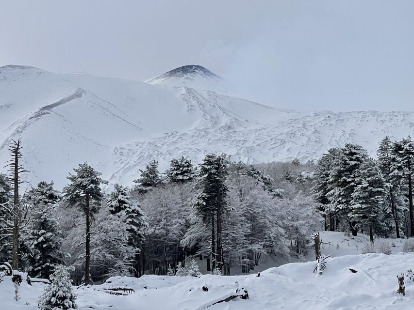 Piano Provenzana: Guided Mt. Etna Snowshoeing Trek - Price and Logistics: What You’ll Actually Pay for the Experience