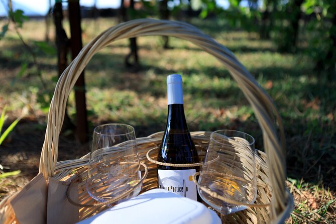 Pic-nic in the vineyard - Where the picnic actually happens: Tenuta di Castellaro’s sea-view vineyard seats