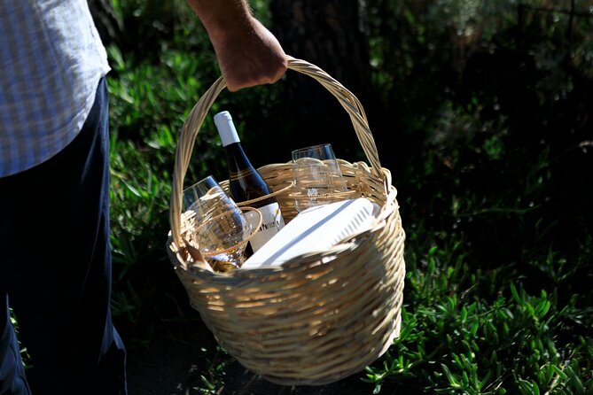 Pic-nic in the vineyard - The picnic basket: what you get and why it can feel worth it