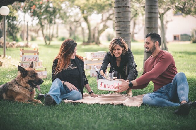 Picnic on the lawn -aromatic garden and winery - Getting to Farm Augustali on your own (and why that’s not a deal-breaker)