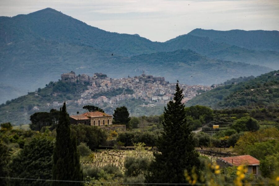 Piedimonte Etneo: Etna Wine Train Tour & Sicily Wine tasting - Key things to know before you go