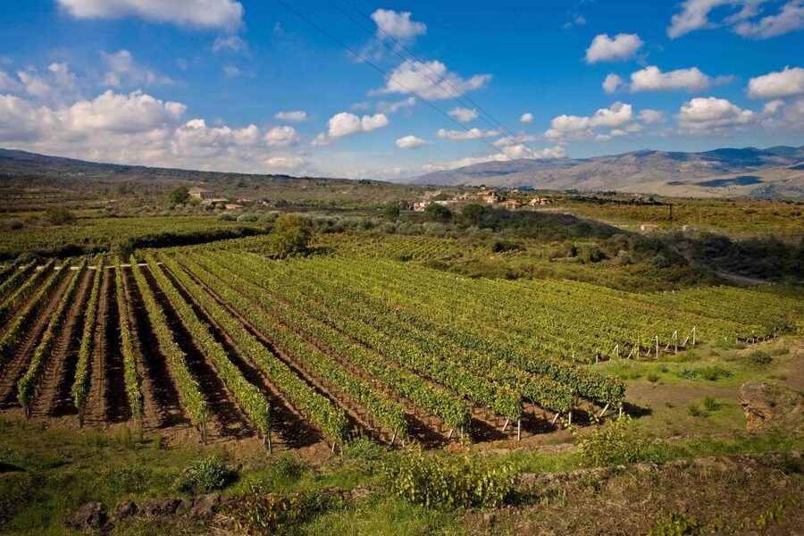 Piedimonte Etneo: Etna Wine Train Tour & Sicily Wine tasting - Why a Circumetnea wine train works on Mount Etna