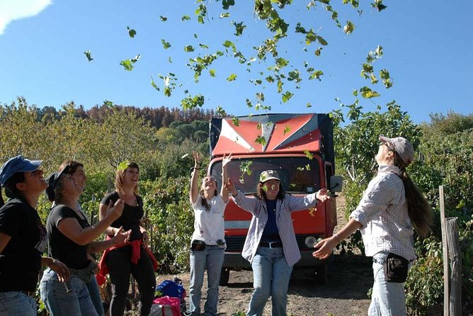 Private 6-Hour Tour of Three Etna Wineries with food&wine tasting - How the food and wine pacing works (and why it matters)