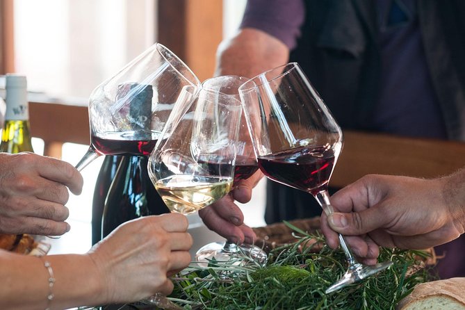 Private 6-Hour Tour of Three Etna Wineries with food&wine tasting - Private, family-run, and not overly staged