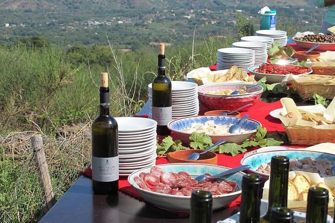 Private 6-Hour Tour of Three Etna Wineries with food&wine tasting - Price and value: what $375.05 per person buys you
