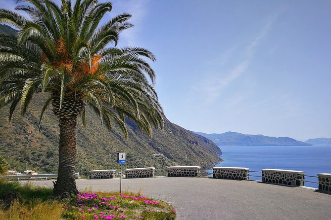 Private and guided tour of Salina: Discovering the Green Island - Getting oriented at the starting harbor in Santa Marina Salina