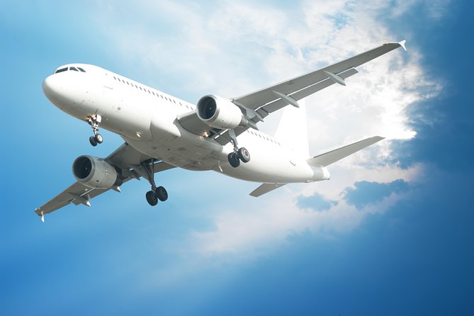 Private Arrival Transfer: Palermo Airport to Palermo Hotel - Cars, Luggage, and Palermo Traffic: What the Ride Feels Like