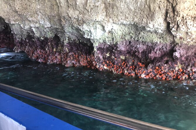 Private boat tour with prosecco and fresh fruit - Sea caves near the north coast, plus swim time if conditions allow