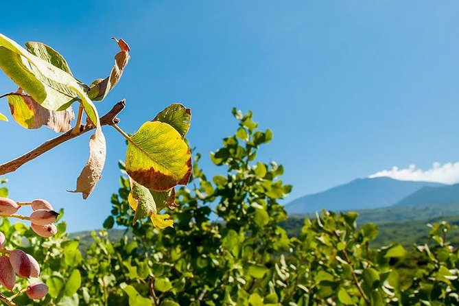 Private Etna tour and pistachio lunch in a pistachio farm - The easy hike on extinct craters, plus why helmets matter