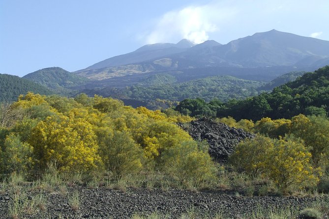 Private Etna tour from Messina Cruise Terminal+ Lunch at Winery - Etna Winery Lunch and Tasting: Etna DOC Wine With a Sommelier