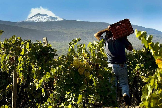 Private Etna tour from Messina Cruise Terminal+ Lunch at Winery - Who This Etna Tour Fits Best (and Who Might Skip It)
