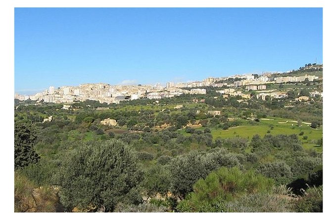 Private Full-Day Tour of Agrigento and Piazza Armerina - Valle dei Templi: how 4 hours in a 1300-hectare park actually plays