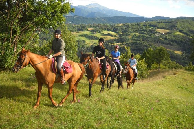 Private Horseback Riding Tour on Etna Area + Traditional Lunch - Taormina to Etna Country: What the Day Actually Feels Like