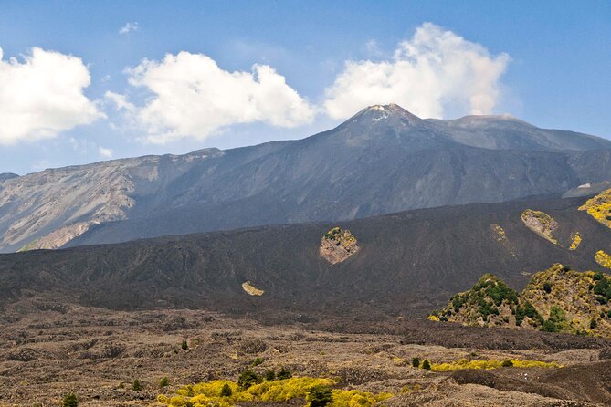 Private Mt. Etna 4WD Half Day Adventure - The 9:00 am Plan from Viagrande