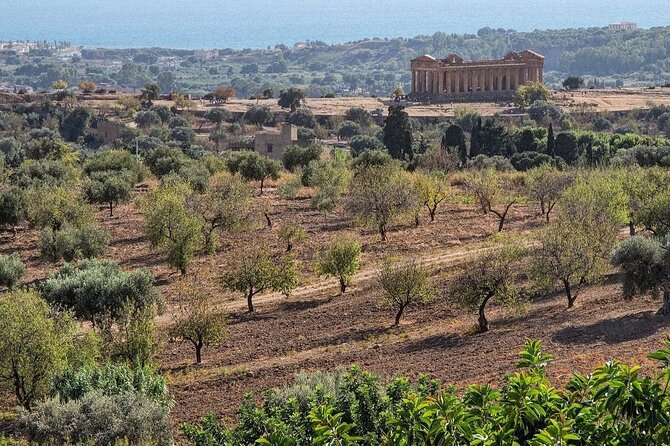 Private Tour Agrigento Valley of the Temples Park and Scala Dei Turchi - Who should book this tour