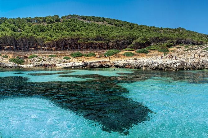 Private Tour Half Day Boat Trip in Favignana from Trapani - Cala Azzurra cove stop: your first swim-and-snorkel hour