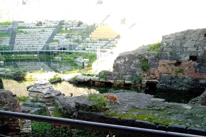 Private tour of Catania and the Riviera of the Cyclops - Price and value: what $251.72 per person really covers
