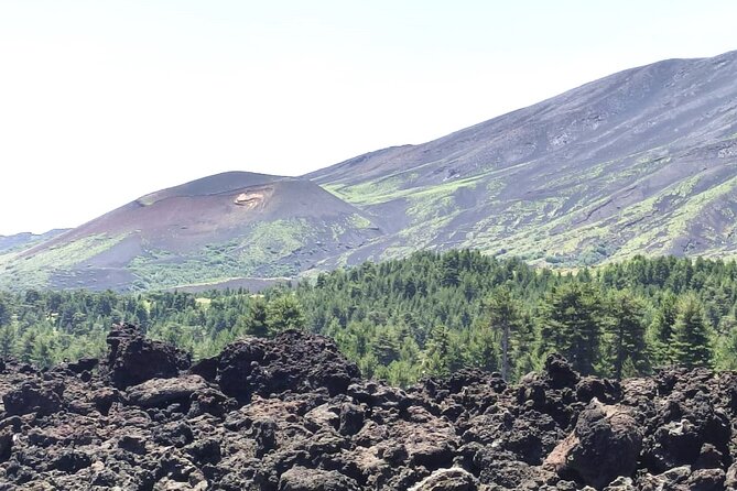 Private tour of Etna with food and wine tasting in the cellar - Stop 1 on Etna: 2,000 meters, lava flows, and an optional 1.5-hour walk