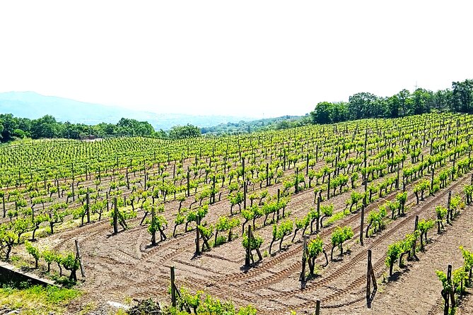 Private tour of Etna with food and wine tasting in the cellar - Stop 3: the relaxed return drive through Mediterranean towns
