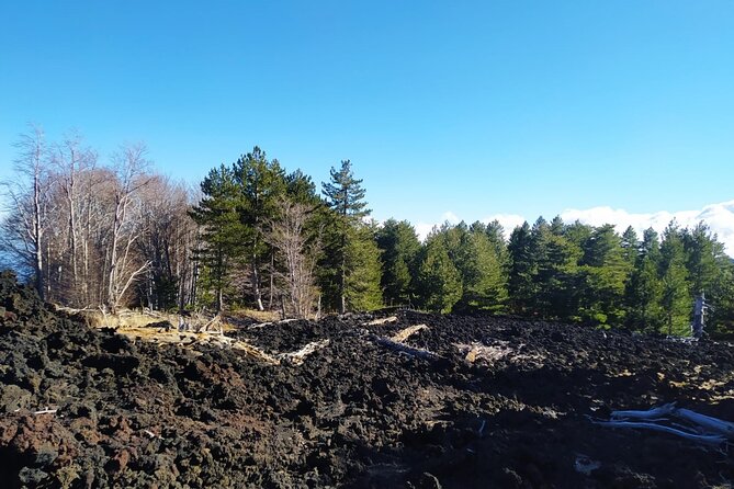 Private tour of Etna with food and wine tasting in the cellar - Final verdict: should you book this Etna private tour with cellar tasting?