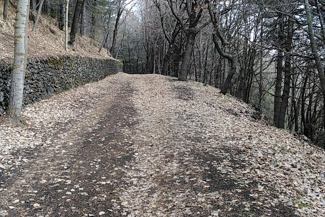 Private tour of Mount Etna and the Alcantara Gorges - Mount Etna and the 1669 eruption sites: the story you can walk through