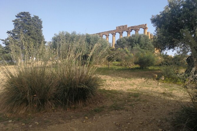 Private Tour to Segesta, Erice and Wine Tasting in Marsala - Segesta Archaeological Park: the theater and Doric temple views