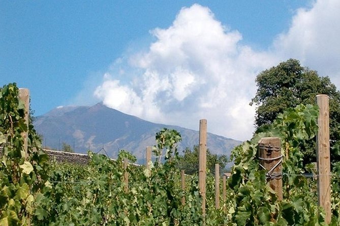 Private visit to the cellars of Etna with wine tasting - Visiting Etna Cellars: Why This Part Matters More Than the Drive
