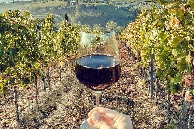 Private visit to the cellars of Etna with wine tasting - The Value Question: $220 for a Private Etna Wine Day