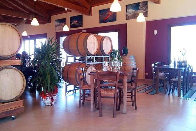 Private visit to the cellars of Etna with wine tasting - Best for Who, and Who Might Feel It’s Not Their Thing
