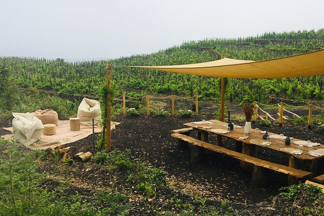 Private Wine and Food Tasting Immersed in Nature in Milo - Key highlights you should care about