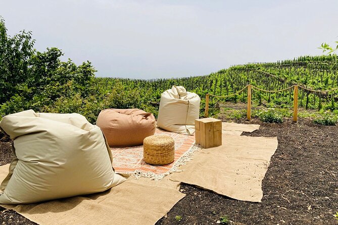 Private Wine and Food Tasting Immersed in Nature in Milo - The wine side: Doc bottles that match volcanic, savory flavors