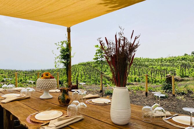 Private Wine and Food Tasting Immersed in Nature in Milo - The full 2-hour flow: a Sicilian menu with wine pairings