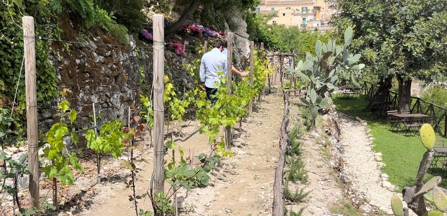 Radici: IImmerse yourself in the heady scents of our garden - Key highlights to know before you go