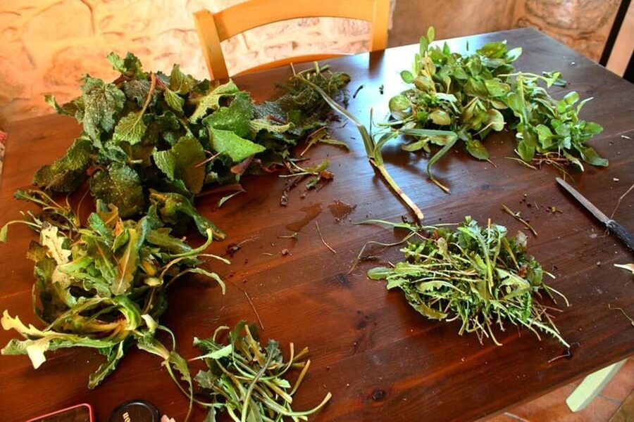 Ragusa Countryside Home Cooking Class & Meal - Welcome to Chiaramonte Gulfi countryside, where food starts in the garden